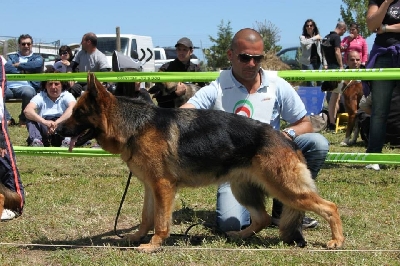 Naomi dei Rossomori (Clicca per ingrandire)